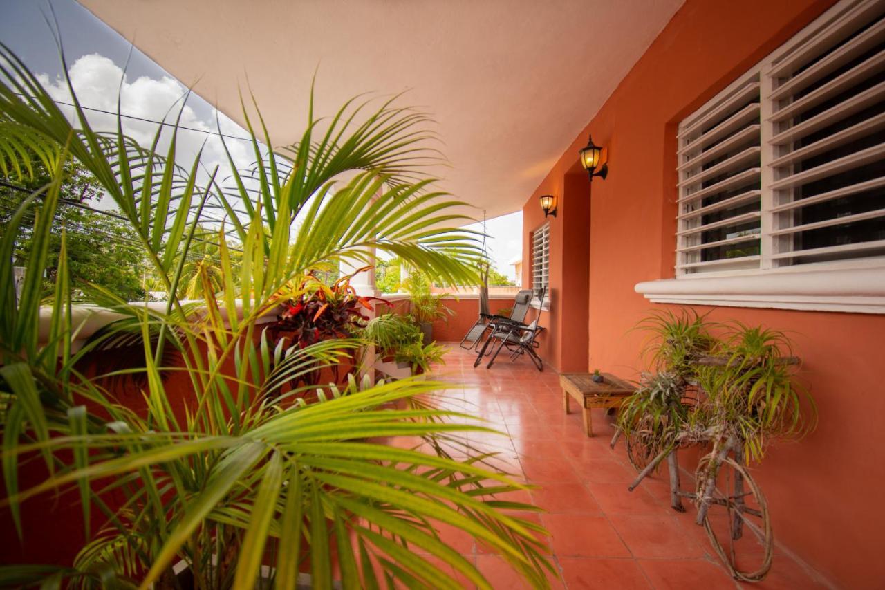 Budgies Cozumel Extérieur photo